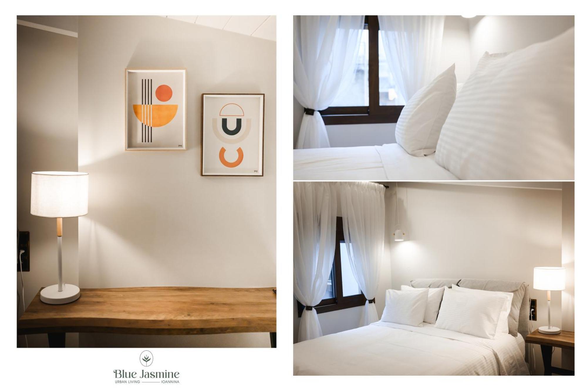 Apartmán Blue Jasmine Urban Living Ioánnina Exteriér fotografie